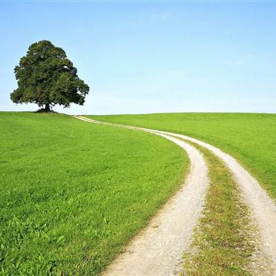 bat365中文官方网站(在线)