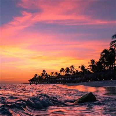 威斯尼斯wns888入口