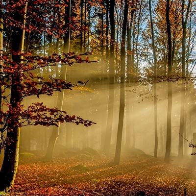 百人牛牛游戏手机app下载