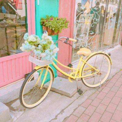 hth华体育(中国)官方入口app下载