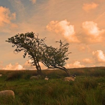 kaiyun电竞入口下载手机版