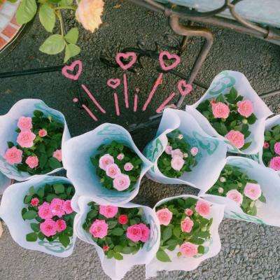 完美娱乐官网下载