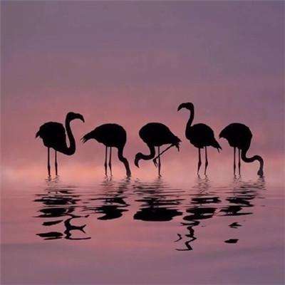 关于“开云电竞APP”手机app下载